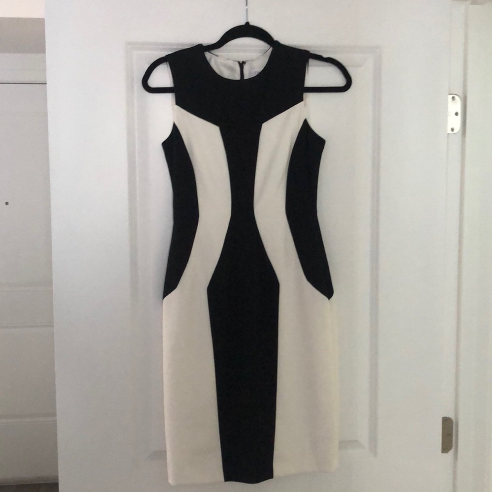 Calvin Klein Size 2 Dress